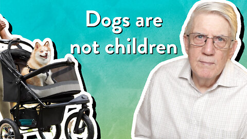 Dogs are not children | John Ensor | The PassionLife Podcast