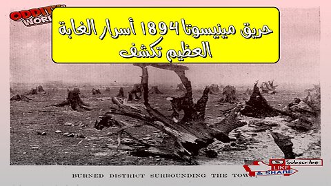 حريق مينيسوتا 1894: أسرار "الغابة العظيم" تكشف #تاريخ #حرائق #مينيسوتا