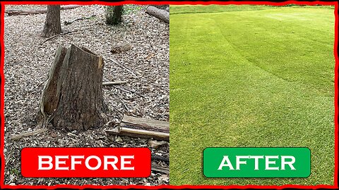 The Best Way to Remove a Stump (No Burning, No Chemicals!)