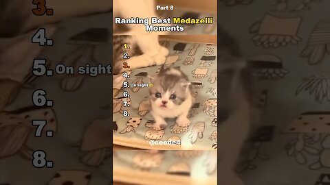 Funniest Medazelli#ranking #medazelli #tiktok