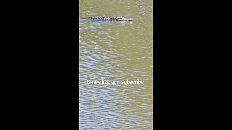 me and Robert riding around the town pond