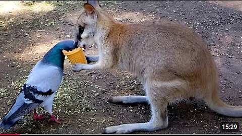 wooooooooooooooooooooooooooooooooooooooooooooooooooooowo