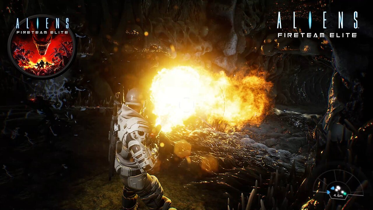 Aliens: Fireteam Elite - Promise of a Flower: Strike | AVPUNKNOWN
