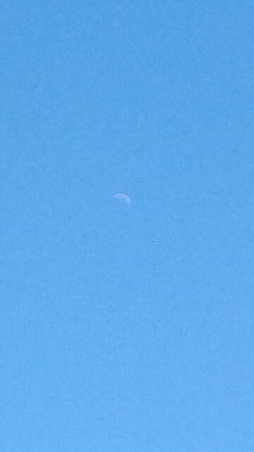 drac democrat moon stalking human Americans