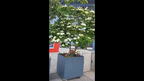 Хорошего времени суток, друг 🤗🕊️