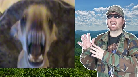 Love The Vicious Chihuahua Protects T-Bone, Bites Camera, Intimidates Doberman! - Reaction! (BBT)
