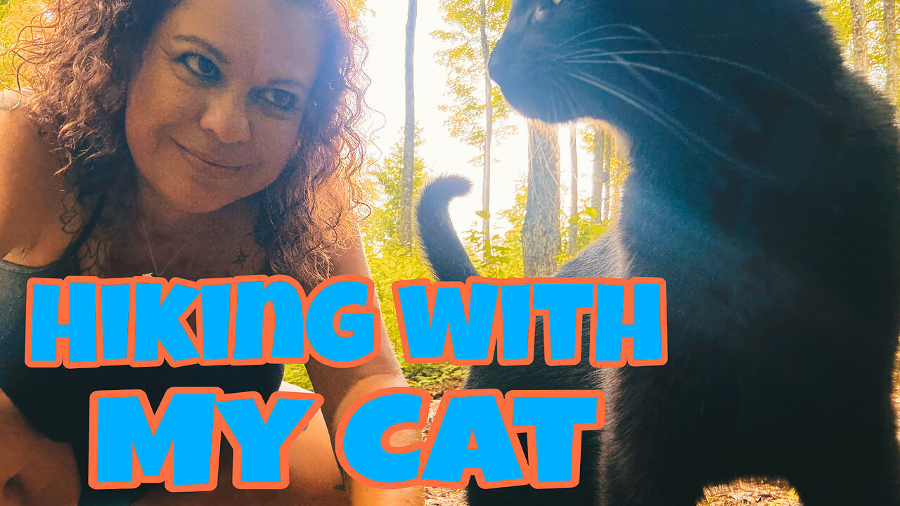 I love my walks with my black cat