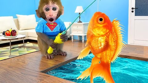 Today, in ajoyful atmosphere, Bonmonkeykiki is trying to catch fish.|Anmalht bonmonkeykiki vedio