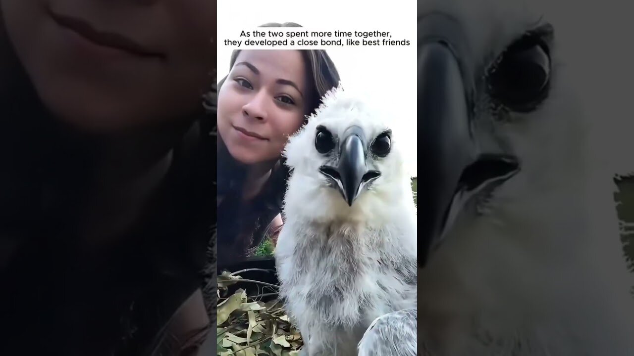 The guy walked the dog and was shocked when he saw an eagle chick near the house