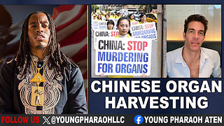 YOUNG PHARAOH & MITCHELL GERBER - CHINESE ORGAN HARVESTING & CONQUEST!