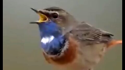 INDIFFERENCE TO CHRISTMAS - DAILY DEVOTIONAL ❤️