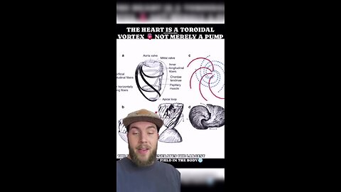 "Unveiling The Truth: Why Your Heart Isn't Just a Simple Pump"