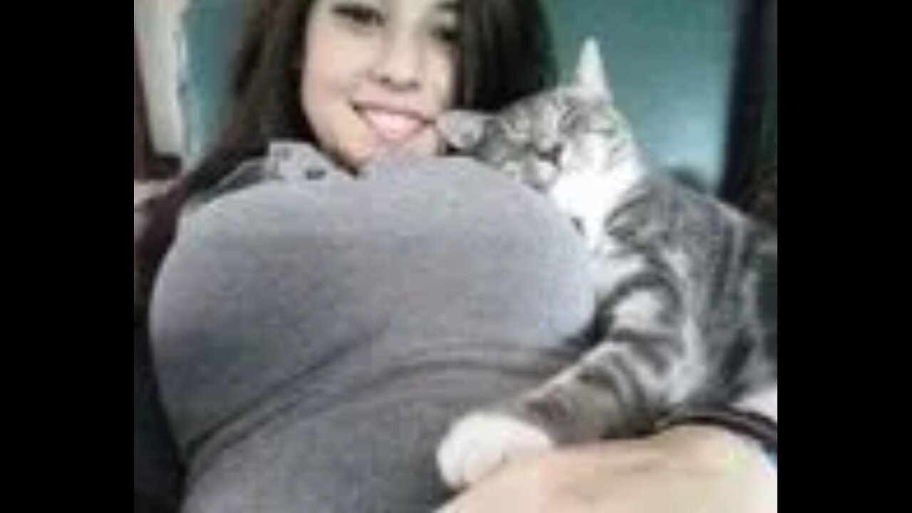 Cute Cat Vids #8