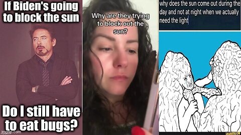 LADY ASKS AI ☼ WHY ARE THEY REALLY BLOCKING OUT THE SUN⁉️