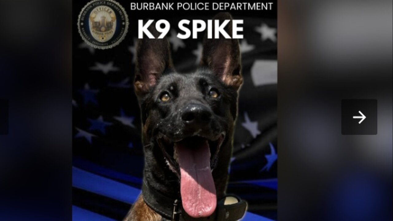 on the air with mark LIVE end of watch for hero k9 + Ukraine news