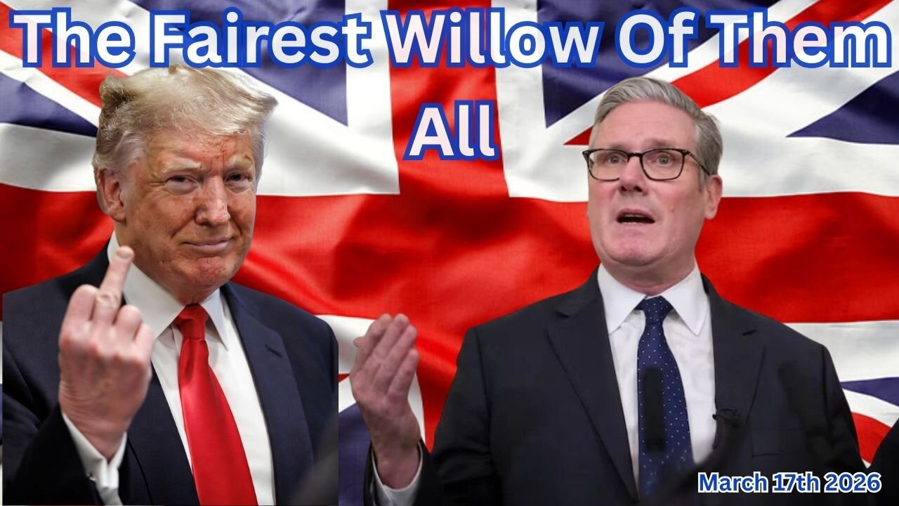 The Fairest Willow Of Them All