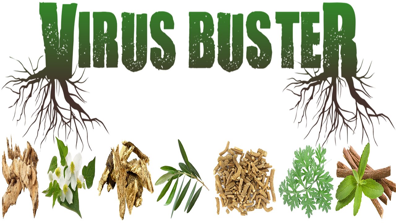 Virus Buster Herbal Extract Review