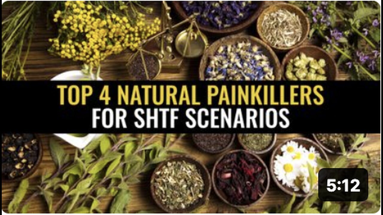 "Four Effective Natural Painkillers for SHTF Situations"