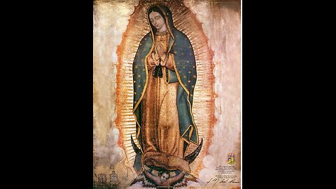 Session 14: Our Lady of Gudalupe