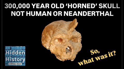 Mysterious 300,000 year old ‘horned’ humanoid skull is neither human nor Neanderthal