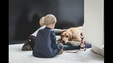 Why all kids should have pets