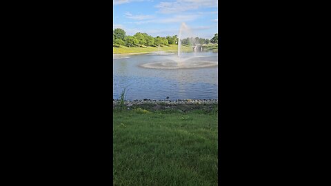 My Peaceful Place - TikTok Violates Its own Community Guidelines