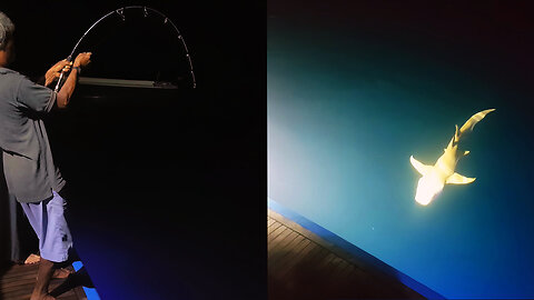 Shark on the Line... Nighttime Fishing.