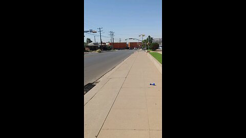 Daily Walk
