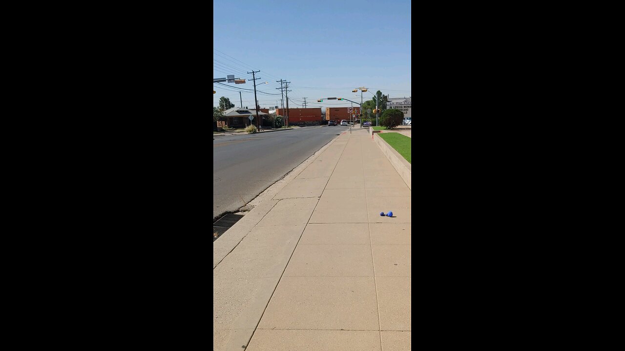 Daily Walk