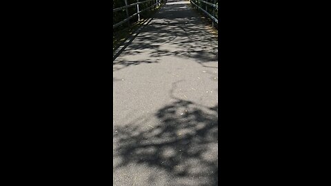 Bike Trail Geocache 2