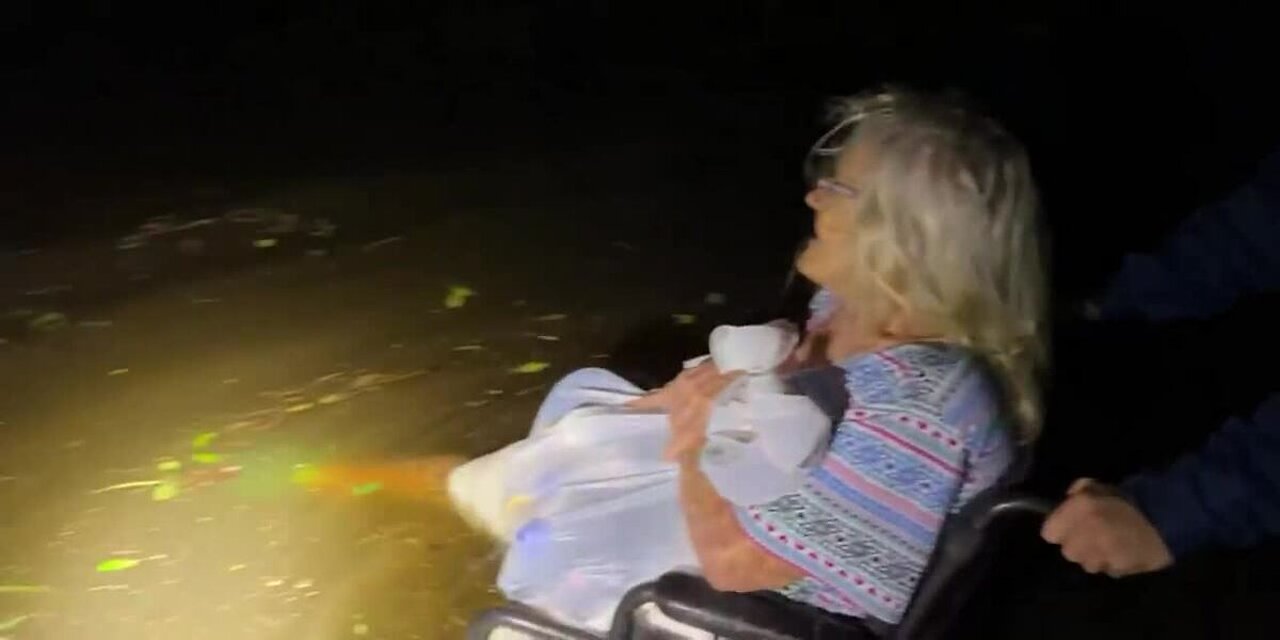 Flooded Home: Son Saved Mom's Life, Clinging to a Tree!