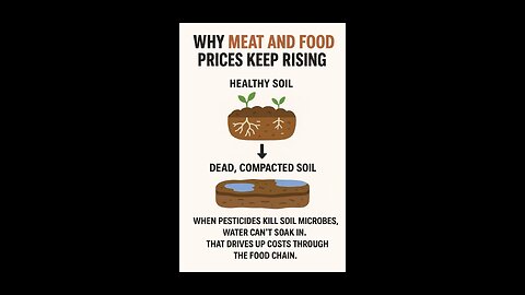 Food prices increasing? 📈