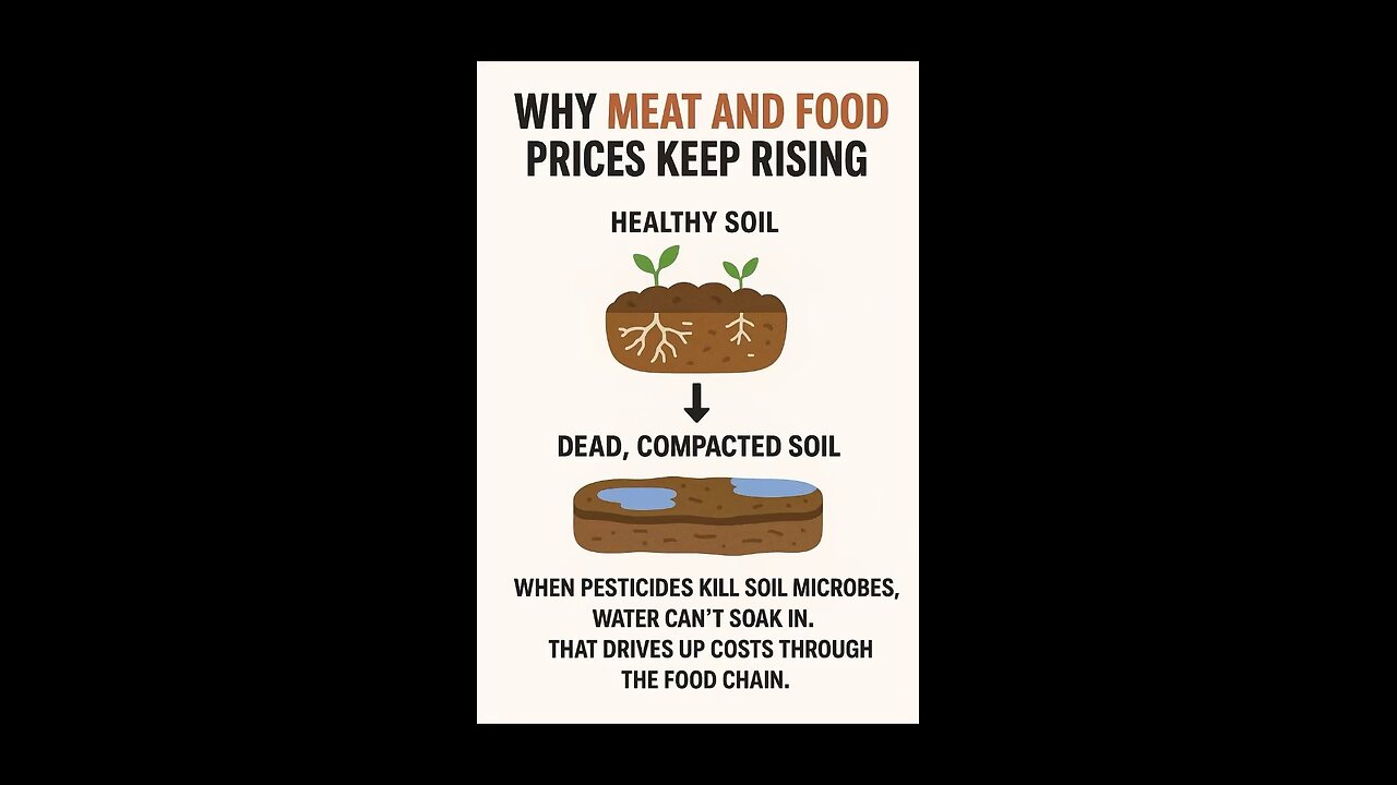 Food prices increasing? 📈