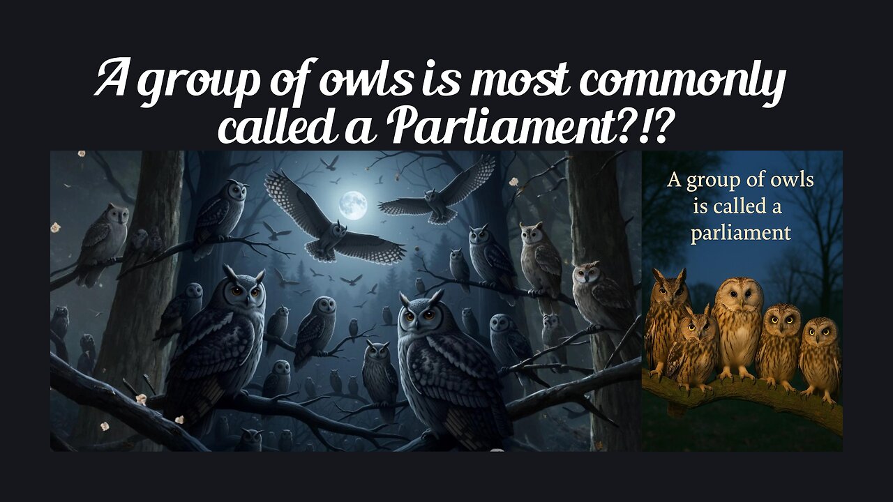 Fun Fact for July 6th 2025 Pt 2