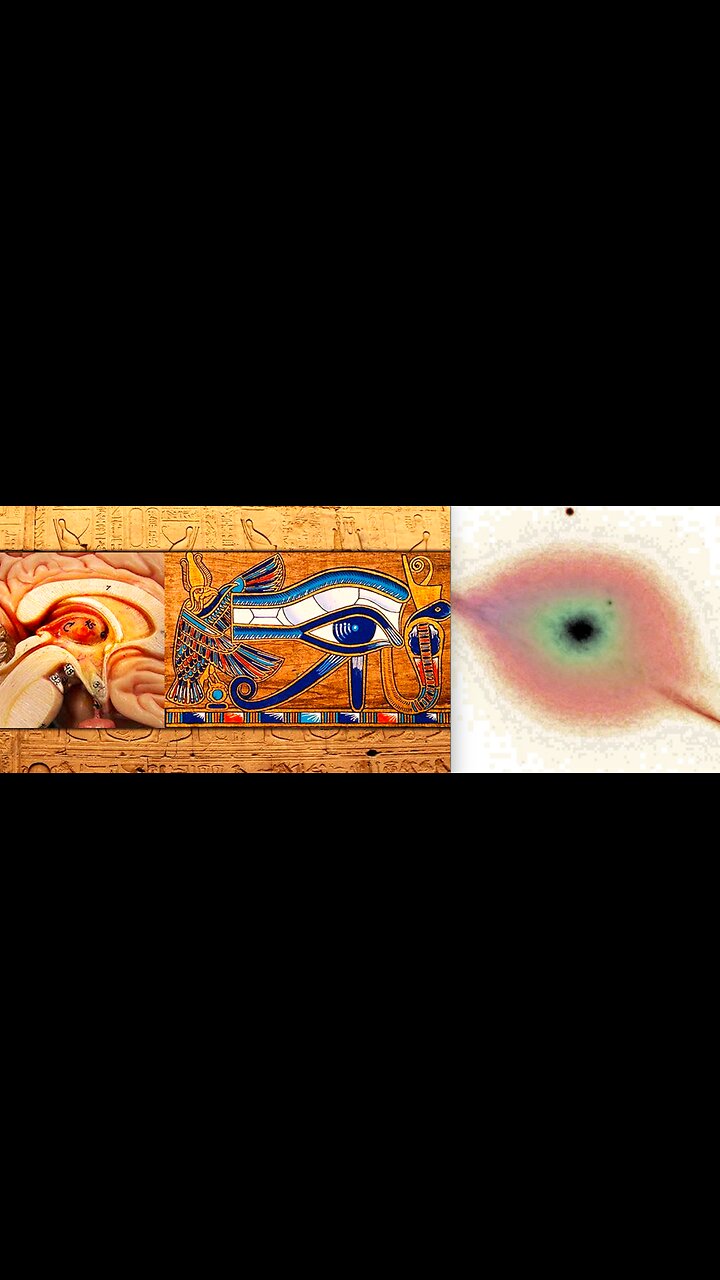 THE REAL PURPOSE & MESSAGE OF COMET 3I ATLAS REVEALED AT LAST!!!!?