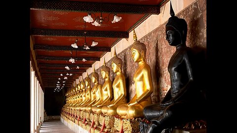 Buda negro se marcha