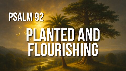 Psalm 92 – Flourishing in God’s House: A Song for Rest, Strength, and Praise