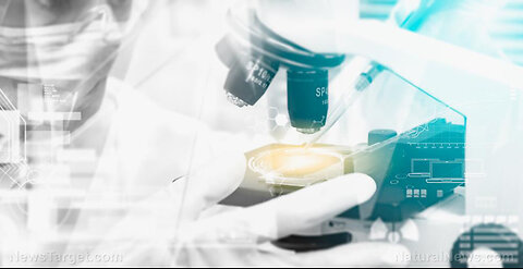 "Government Report Confirms Covid Vaccines as Bioweapons"