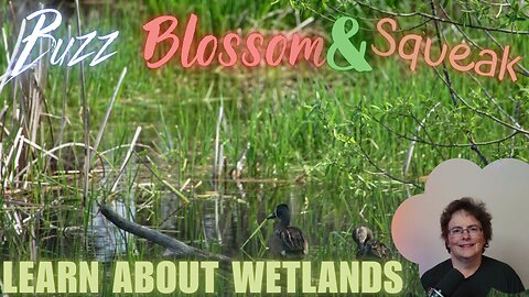 Discovering the Wetlands Around U