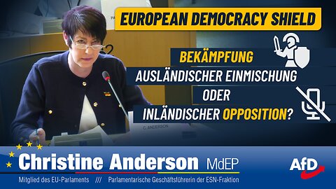 Bekämpfung ausländischer Einmischung oder inländischer Opposition?