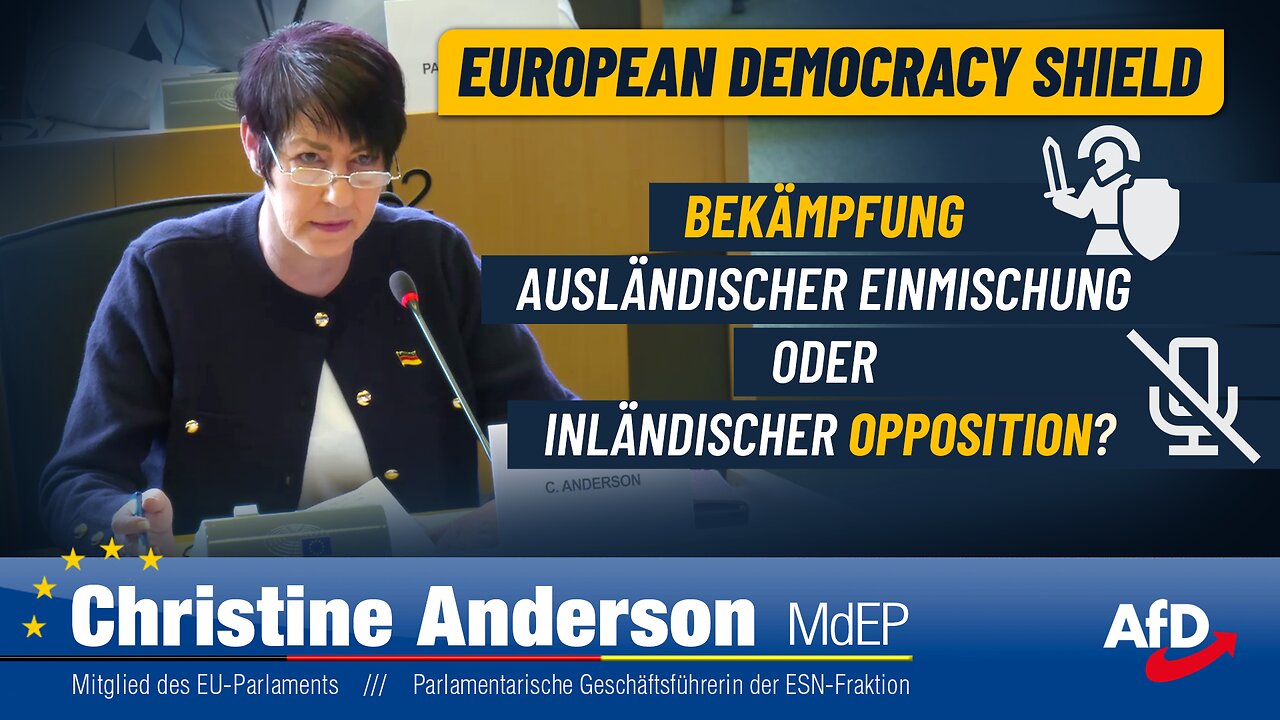 Bekämpfung ausländischer Einmischung oder inländischer Opposition?