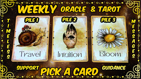 Pick A Card Oracle & Tarot🕛Timeless Messages From The Universe 🌌 Weekly Guidance & Support😄🎁🤍🌼
