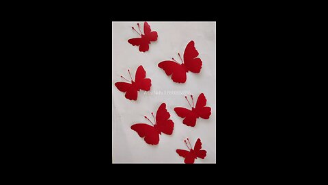 Beautiful Butterflies
