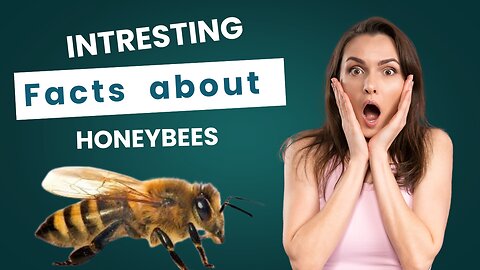 Mind-Blowing Facts About Honeybees You Never Knew! 🐝