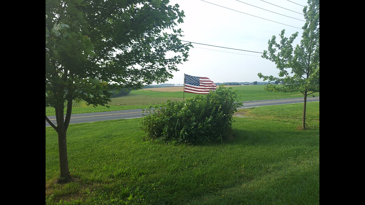 Friday Morning Hangout!