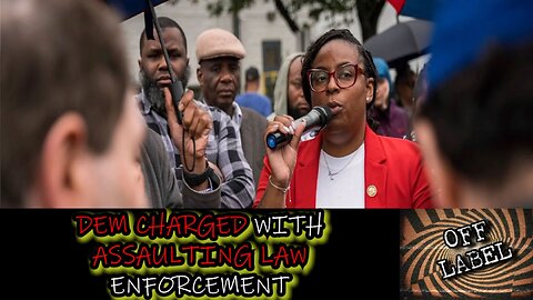 LaMonica McIver Charged For Striking Law Enforcement