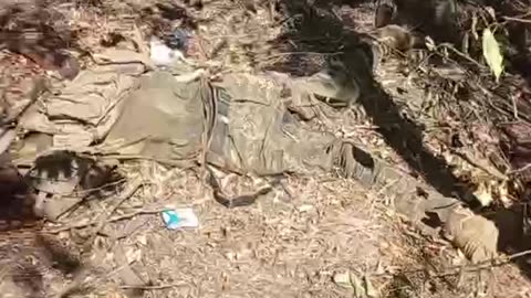 Ukraine war combat footage 10/30/25