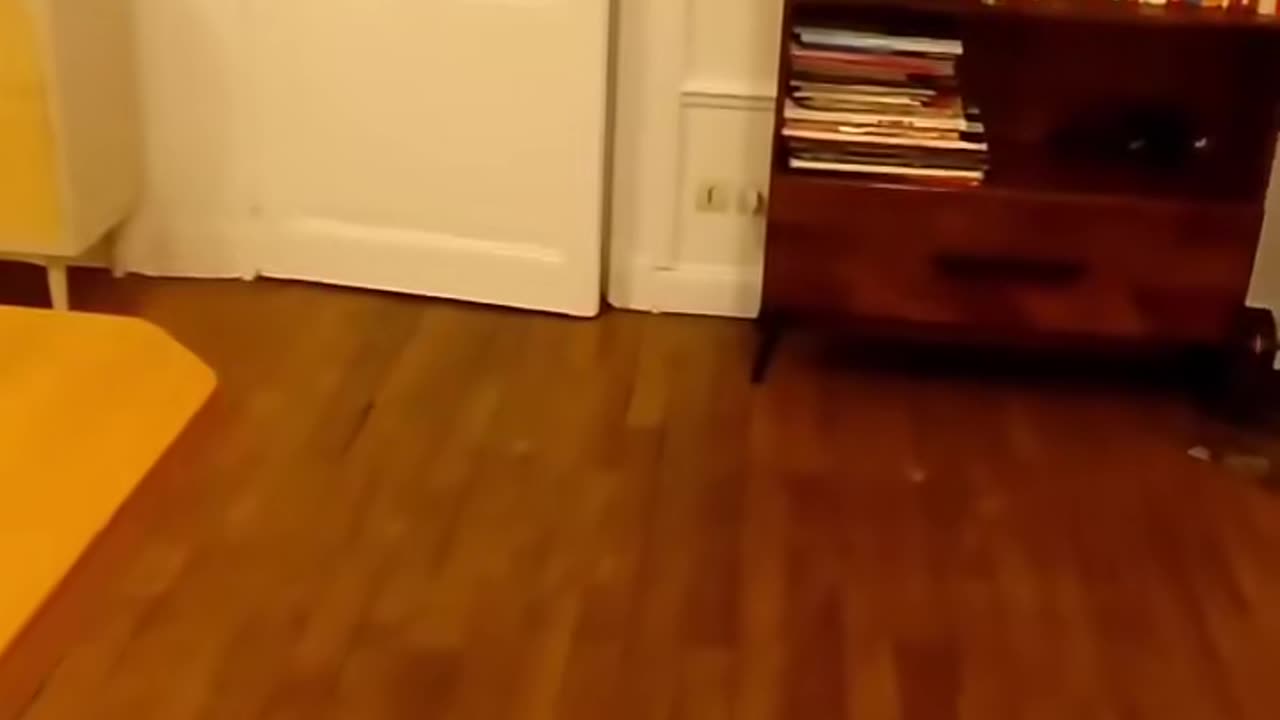 😱👽 Aliens Caught on Camera! | TheHauntingHour