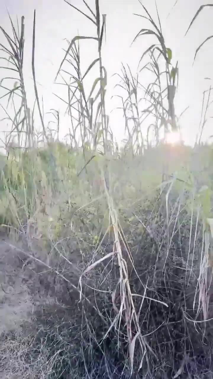 SHOUT OUT TO US BORDER PATROL