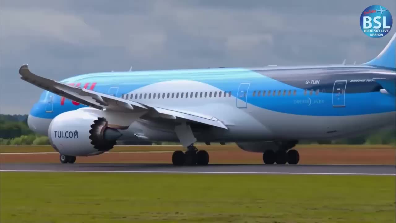 Bird strike during takeoff by Boeing 787-8